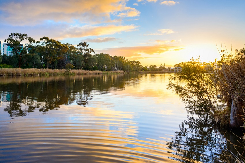 Slings and arrows: Return of the Riverbank revamp - The Adelaide Review