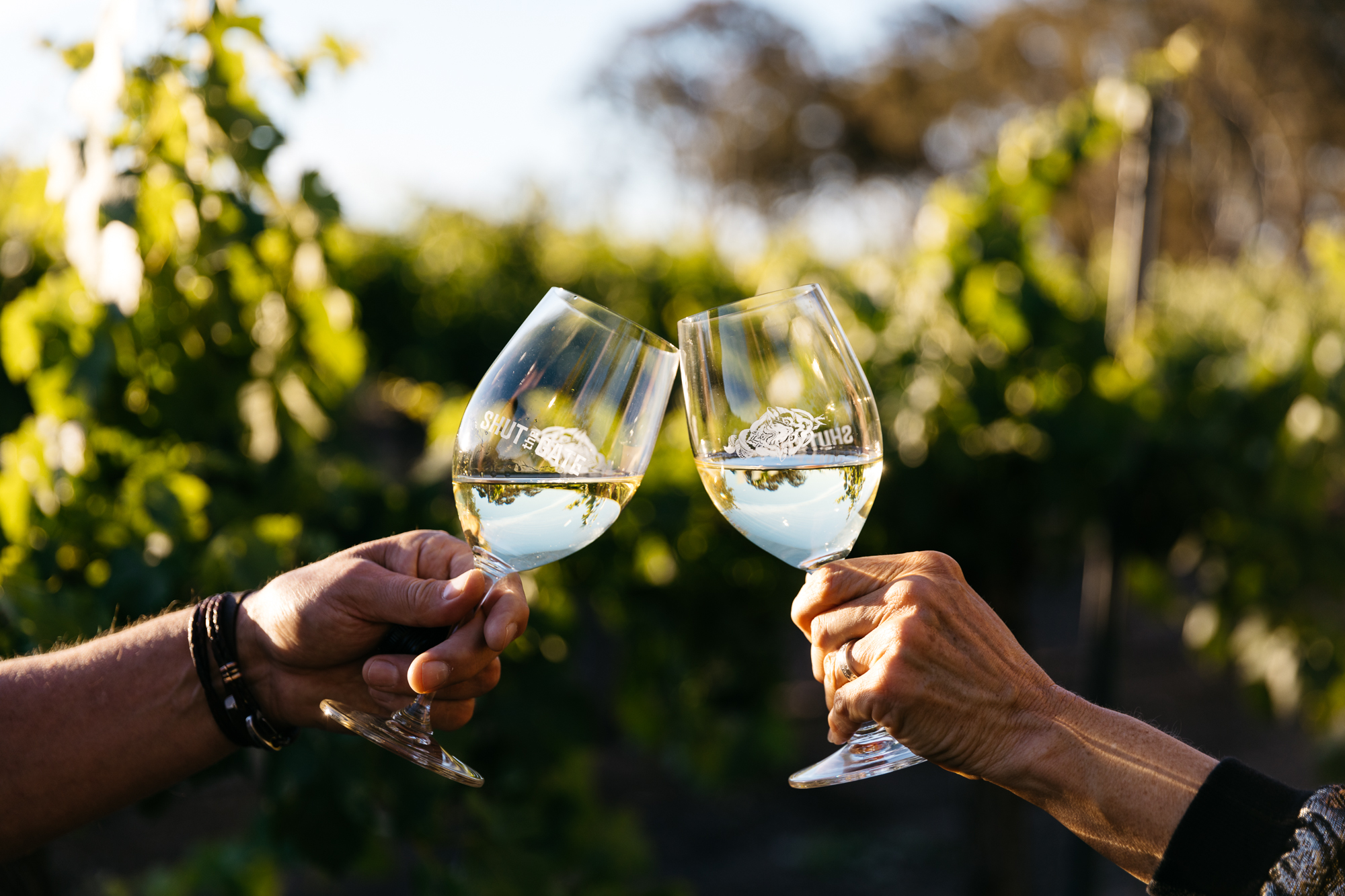 Hot 100 Wines is back for 2020 – here’s how to enter – The Adelaide Review